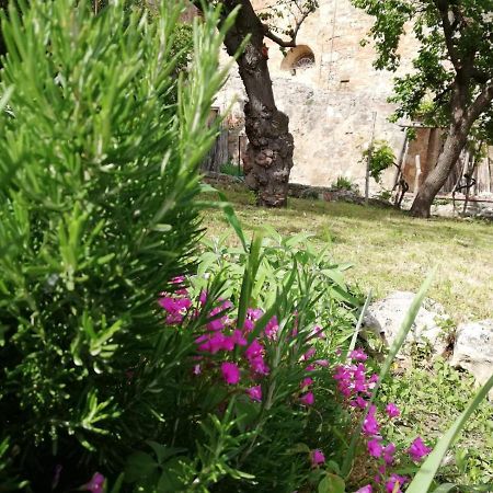 Apartmán La Casa Del Fotografo Colle Val D'Elsa Exteriér fotografie