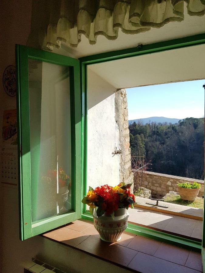 Apartmán La Casa Del Fotografo Colle Val D'Elsa Exteriér fotografie