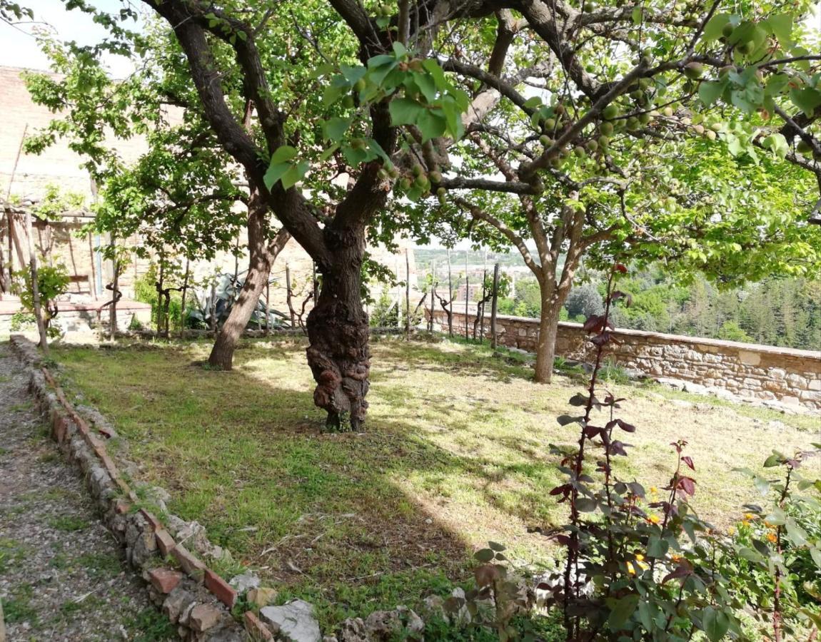 Apartmán La Casa Del Fotografo Colle Val D'Elsa Exteriér fotografie