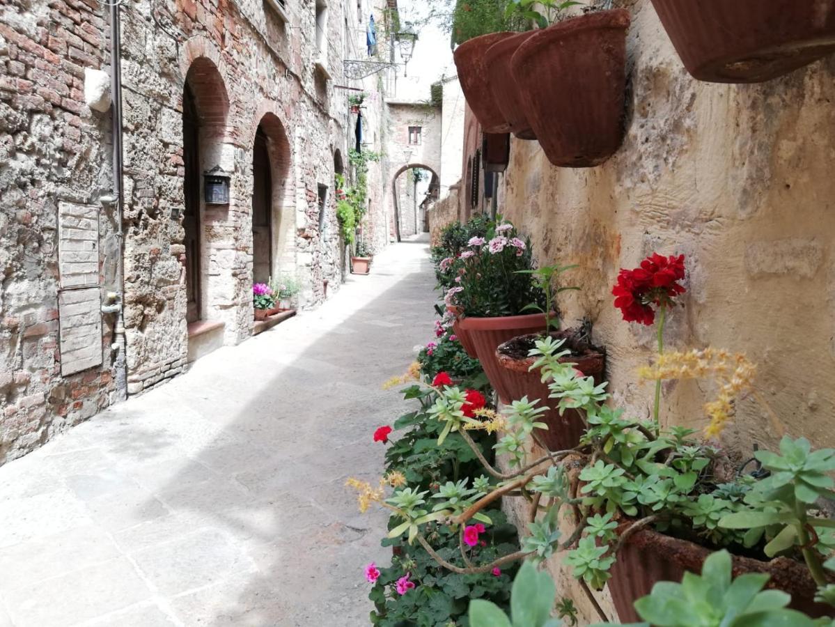 Apartmán La Casa Del Fotografo Colle Val D'Elsa Exteriér fotografie